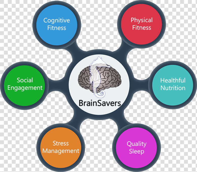 It Comprises Memory And Other Cognitive Exercises    Exercise Physical Activity Stress Management  HD Png DownloadTransparent PNG