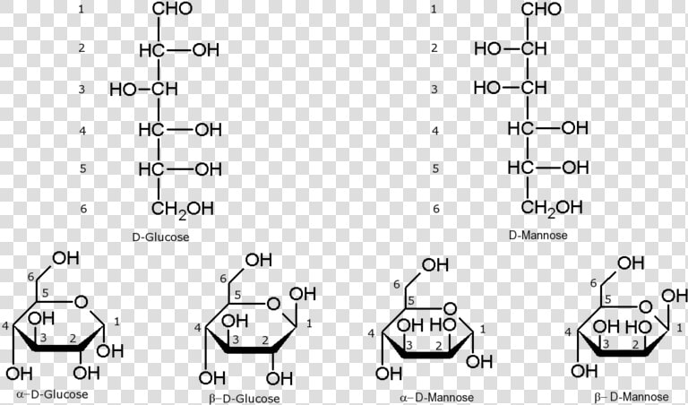 File   Hexoseshemiacetal   Glucose Fructose Galactose Mannose  HD Png DownloadTransparent PNG