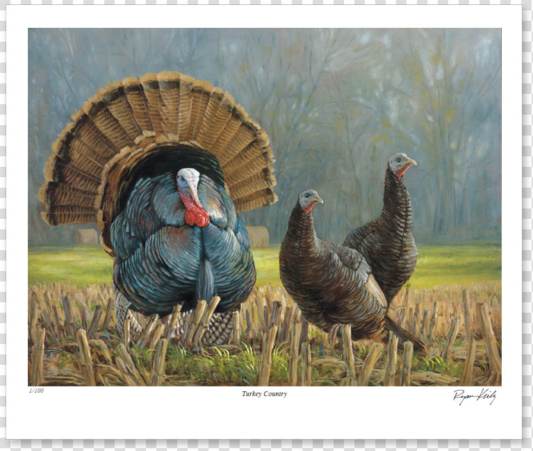 Ryan Kirby Turkey Country Nwtf Stamp Print  HD Png DownloadTransparent PNG