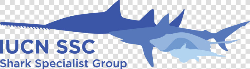 Picture   Iucn Shark Specialist Group  HD Png DownloadTransparent PNG