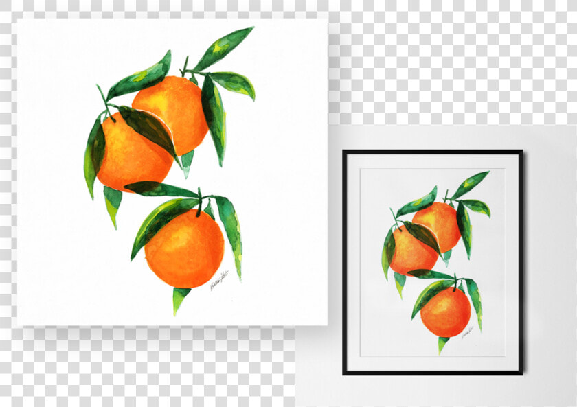 Kls Overlap Fruit   Clementine  HD Png DownloadTransparent PNG