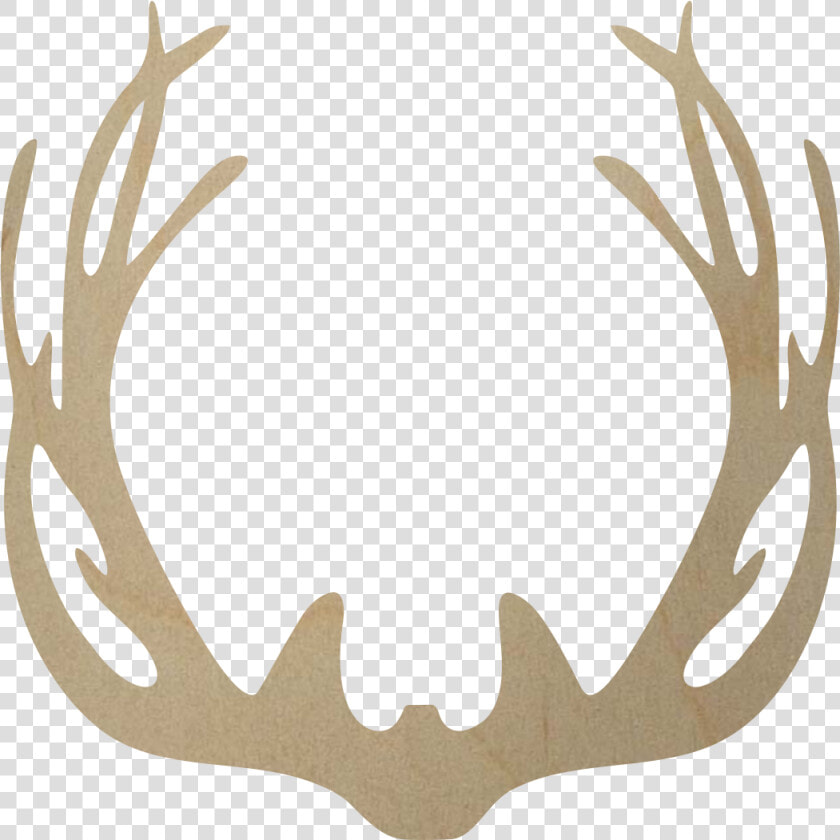 Antler Www Pixshark Com Images Galleries With A Bite   Deer Antlers Png Transparent  Png DownloadTransparent PNG