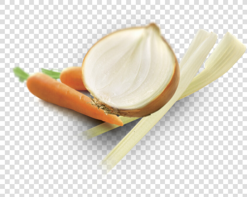 Carrots Onions Celery Png  Transparent PngTransparent PNG