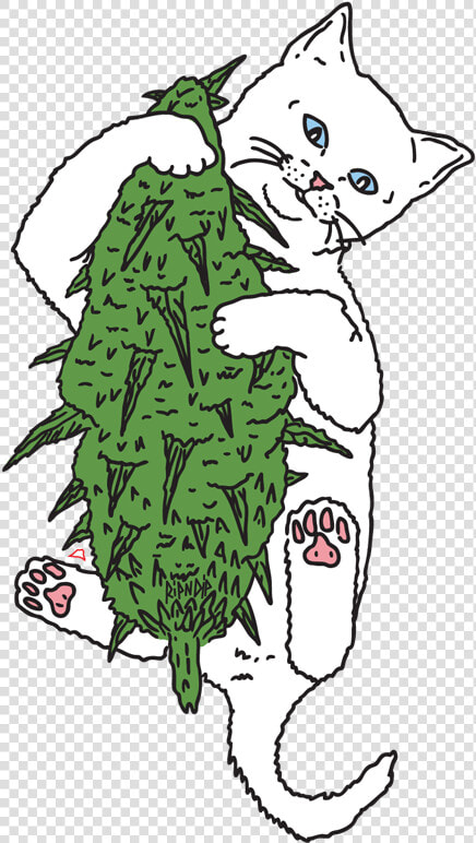 Nermal Rip N Dip Png  Transparent PngTransparent PNG