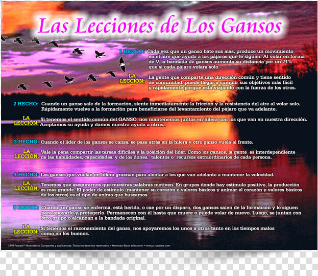 This Is The Spanish Version Of Poster Design   Flyer  HD Png DownloadTransparent PNG