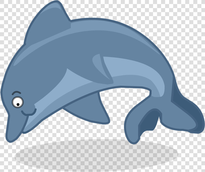 Imagenes De Delfin Png  Transparent PngTransparent PNG