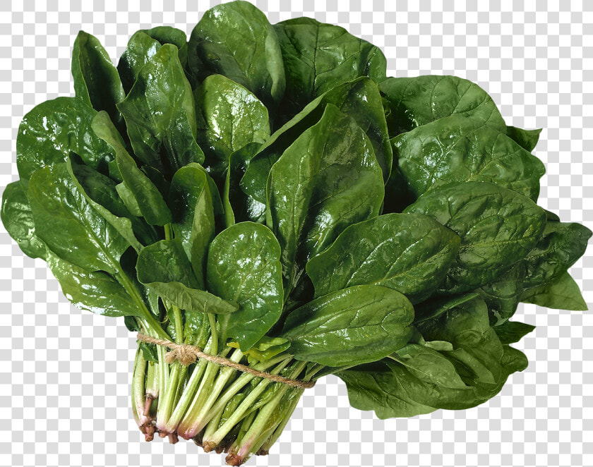 Salad Png Image   Espinaca Png  Transparent PngTransparent PNG