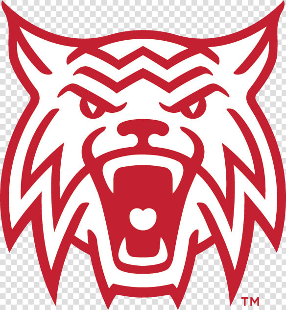 Wildcat Logo Png  Transparent PngTransparent PNG