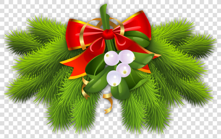 Christmas Family christmas Tree vascular Plant holiday   Tree Merry Christmas Images Beautiful  HD Png DownloadTransparent PNG