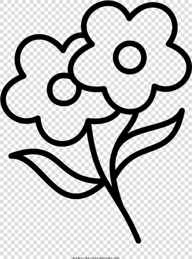 Flowers Coloring Page   Black And White Flower Coloring Page  HD Png DownloadTransparent PNG