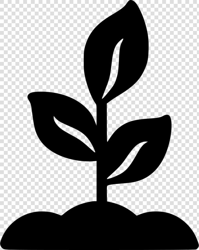 Biology Plants Life Test   Planta Icono Png  Transparent PngTransparent PNG