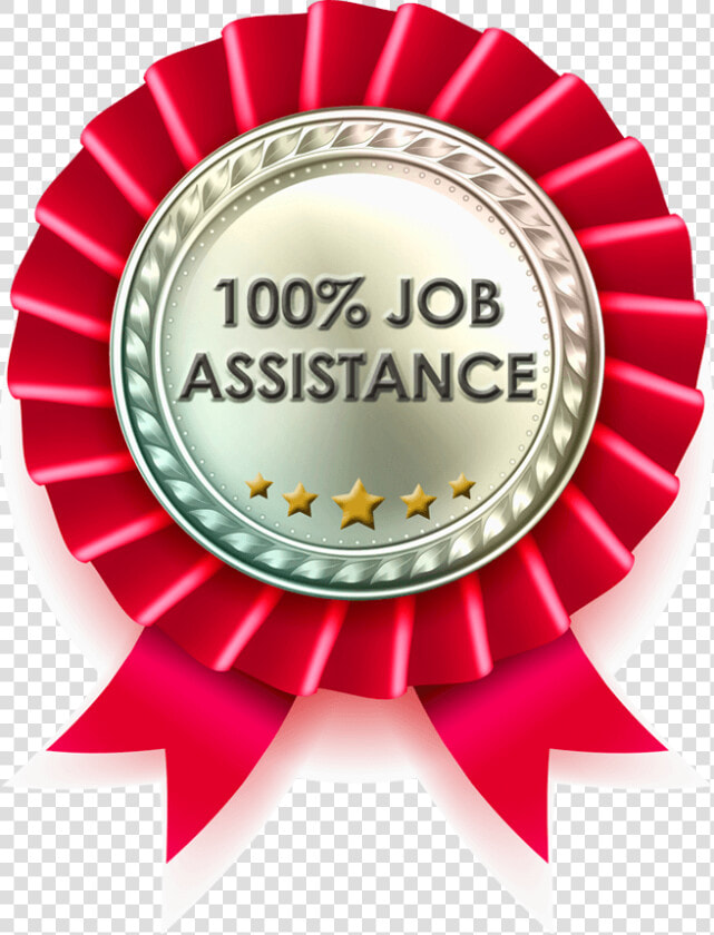 Job Assistance   Over 20 Years Experience Logo  HD Png DownloadTransparent PNG