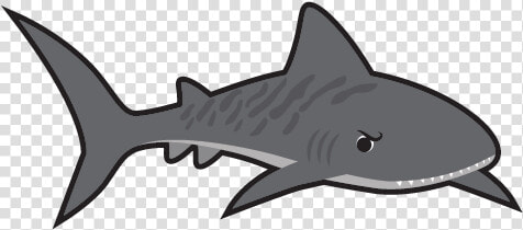 Norwood Swim School Tiger Shark  HD Png DownloadTransparent PNG