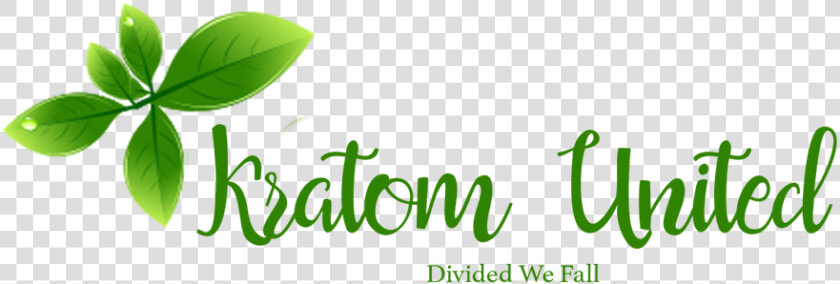 Kratom United   Calligraphy  HD Png DownloadTransparent PNG