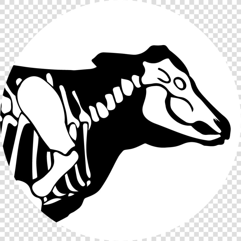 Bbb Insta   Tyrannosaurus  HD Png DownloadTransparent PNG