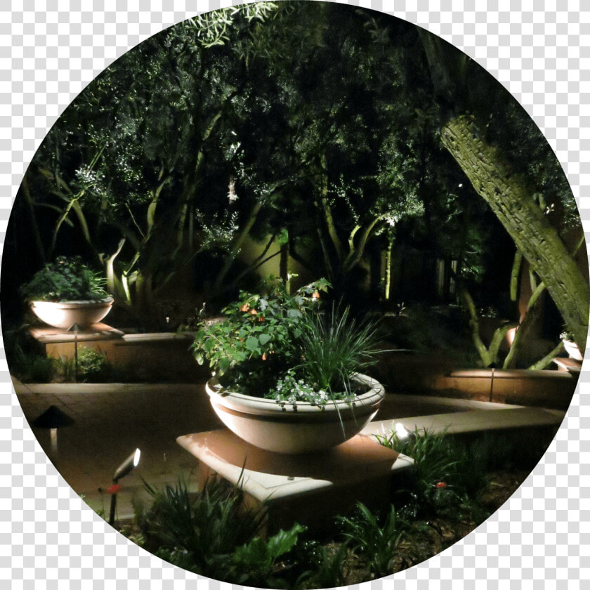 Flowerpot  HD Png DownloadTransparent PNG