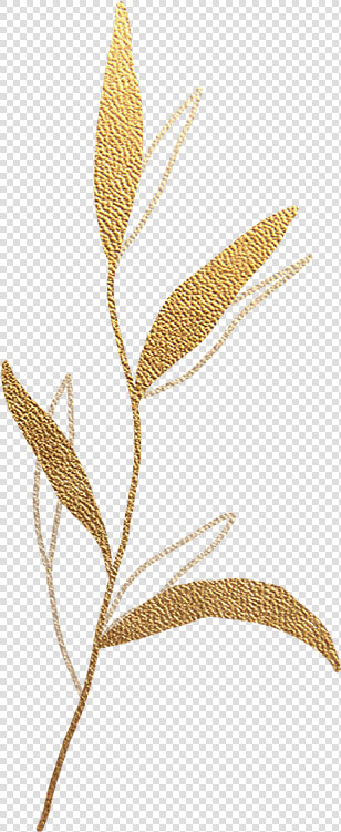 Gold Leaf Split Background Old Rectory Placement   Needlework  HD Png DownloadTransparent PNG