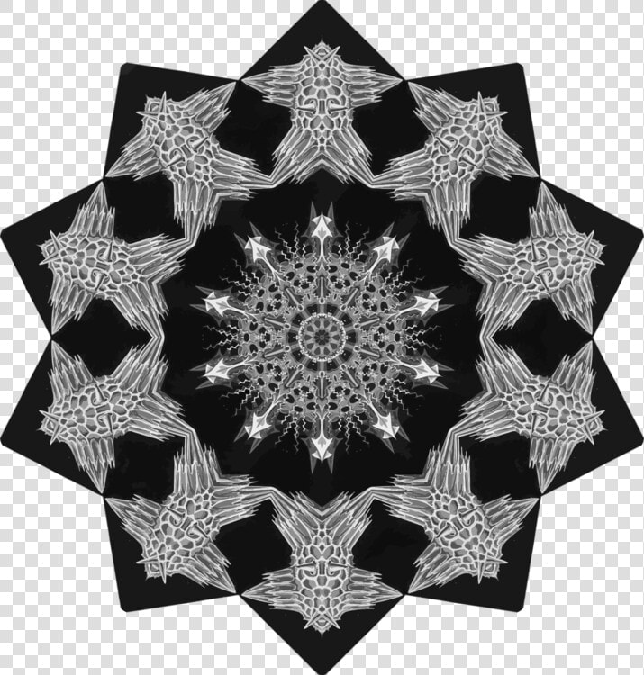 Visual Arts lace symmetry   Circle  HD Png DownloadTransparent PNG