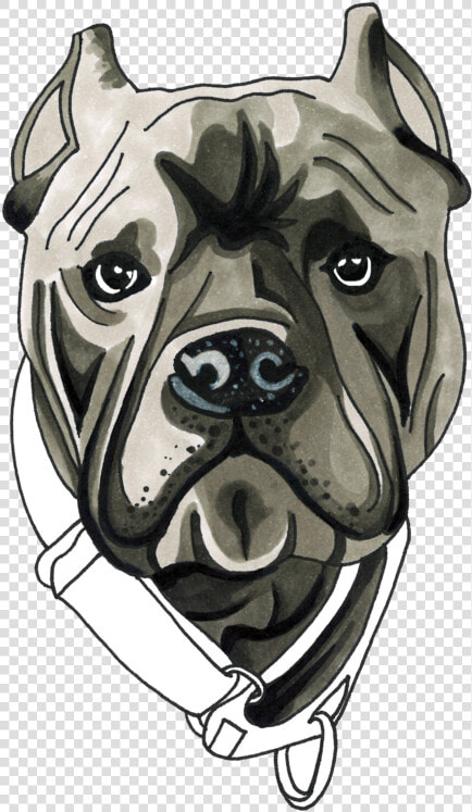 Baloo S Chews   Canis Panther  HD Png DownloadTransparent PNG