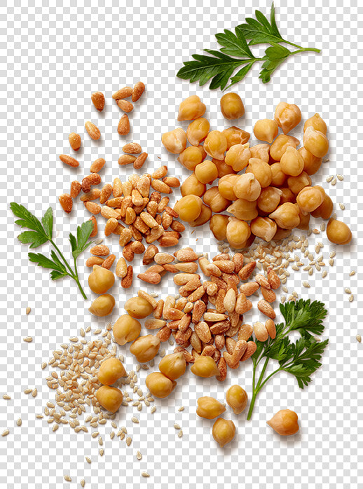 Sabra Story   Pine Nuts Transparent  HD Png DownloadTransparent PNG