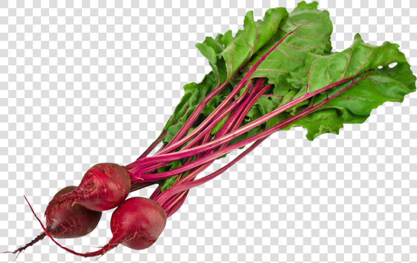 Beet Png Image   Beets Png  Transparent PngTransparent PNG