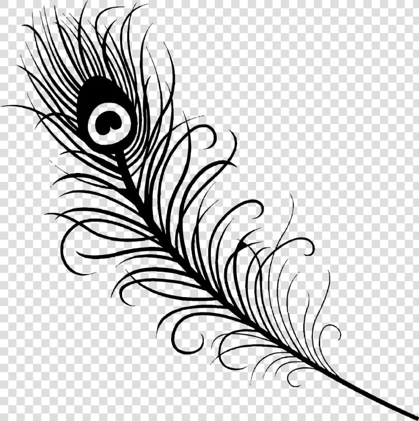 Feather Tattoo Peafowl Drawing Clip Art   Outline Peacock Feather Png  Transparent PngTransparent PNG