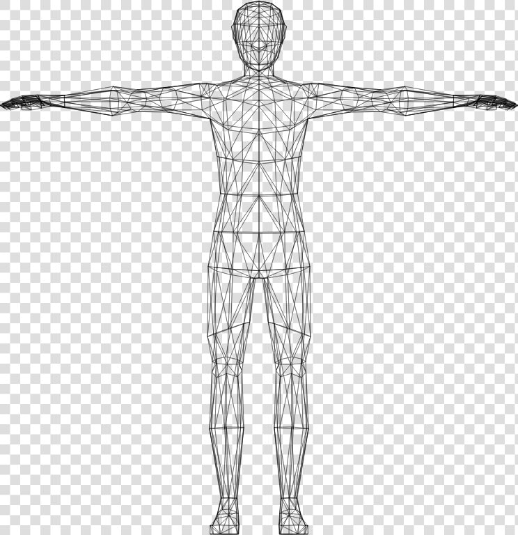 Human Clipart Blank Body   Transparent Human Body Clipart  HD Png DownloadTransparent PNG