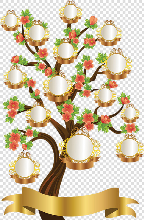 Family Tree Png Transparent   Best Family Tree Design  Png DownloadTransparent PNG