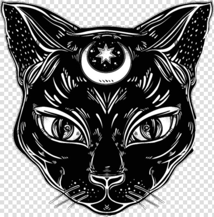  witch  witchcraft  wicca  wiccan  witches  png  sticker   Black Cat Face Drawing  Transparent PngTransparent PNG