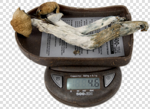 My Weigh 500 Zh Digital Pocket Scale Mushrooms Title   Antique  HD Png DownloadTransparent PNG