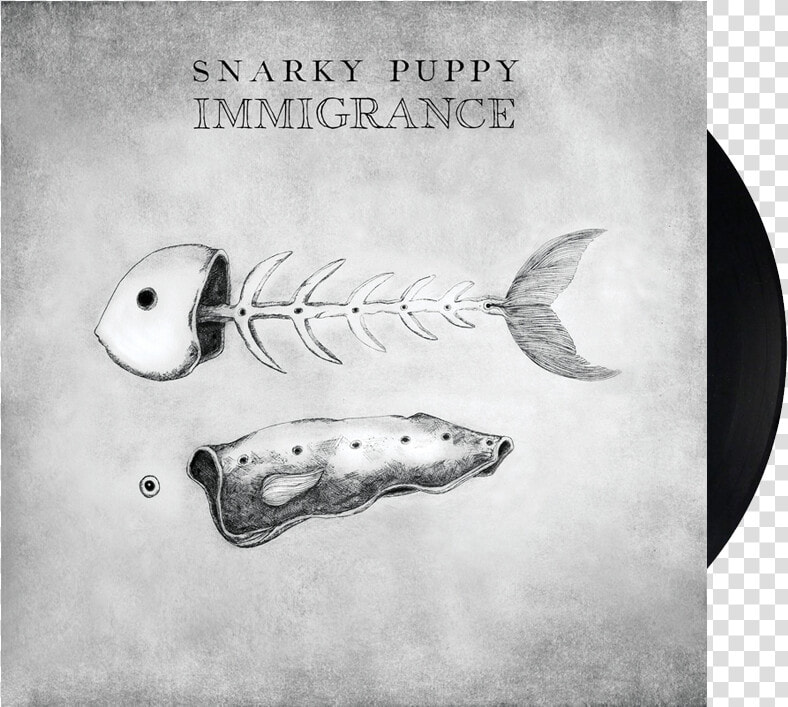 Immigrance  vinyl  Class   Snarky Puppy Immigrance Album  HD Png DownloadTransparent PNG