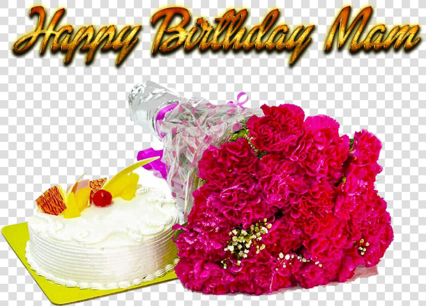 Happy Birthday Mam Png Free Background   Png Happy Birthday Background  Transparent PngTransparent PNG