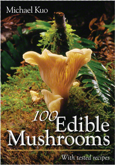 100 Edible Mushrooms Data Rimg Lazy Data Rimg   100 Edible Mushrooms  HD Png DownloadTransparent PNG