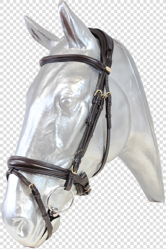 Stallion  HD Png DownloadTransparent PNG