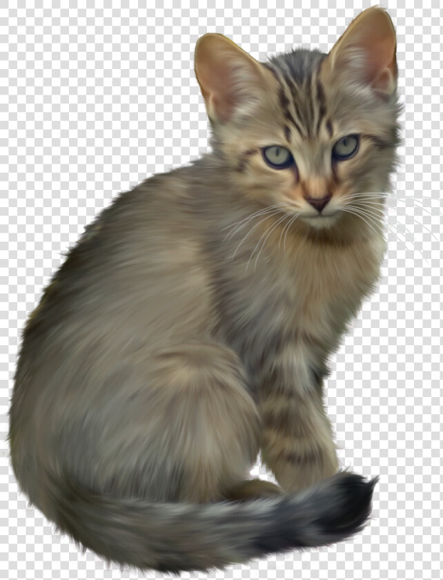 Kitten Transparent   Cute Kittens Clip Art  HD Png DownloadTransparent PNG