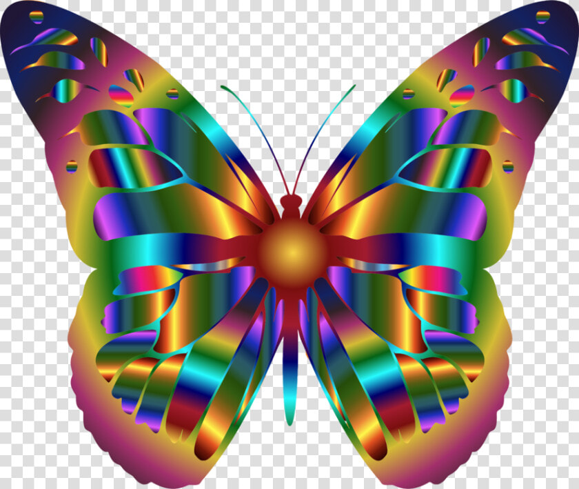 Monarch Butterfly Insect Swallowtail Butterfly Rainbow  HD Png DownloadTransparent PNG