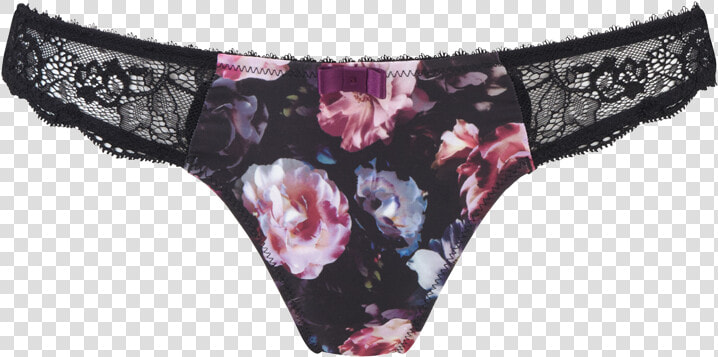 Panties  HD Png DownloadTransparent PNG