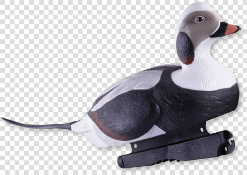 Home   Decoys   Duck Hunting Decoys   Duck  HD Png DownloadTransparent PNG