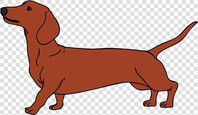 Dachshund Vector Graphics Dog Breed Puppy Illustration   Dachshund Vector Png  Transparent PngTransparent PNG