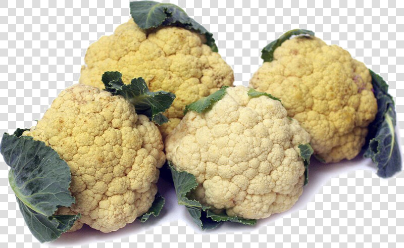 Cauliflower Png Image Free Download   Cauliflower  Transparent PngTransparent PNG