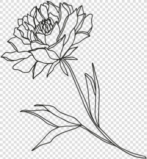 Flower3 01  HD Png DownloadTransparent PNG