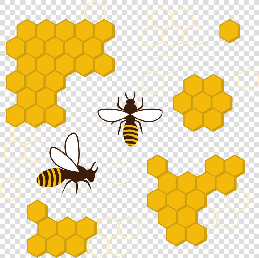 Transparent Bee Outline Png   Honey Bee Comb Clipart  Png DownloadTransparent PNG