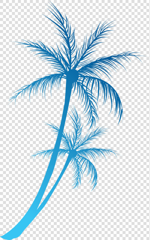 Arecaceae Royalty Free Clip   Blue Palm Tree Png  Transparent PngTransparent PNG