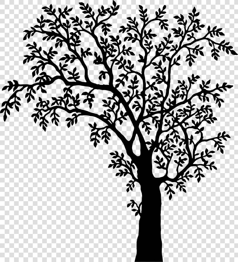 Tree Drawing Realistic   Tree Clipart Black And White  HD Png DownloadTransparent PNG