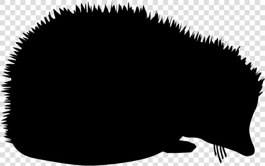 Hedgehog Clipart Silhouette   ハリネズミ イラスト シルエット  HD Png DownloadTransparent PNG