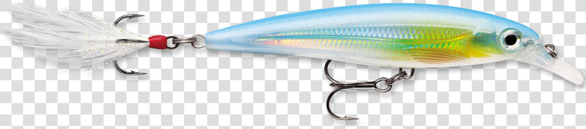 Rapala X rap 10 Fishing Lure   Rapala  HD Png DownloadTransparent PNG