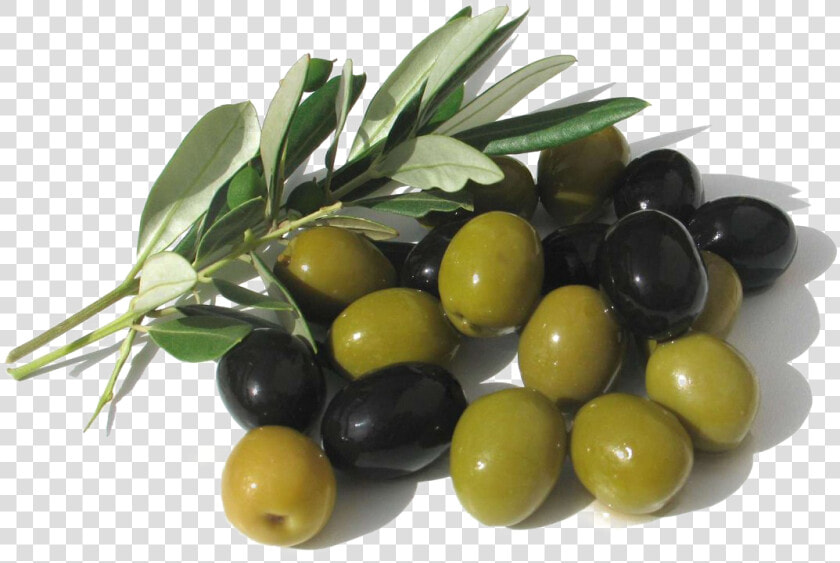 Olives Png Picture   Green And Black Olives  Transparent PngTransparent PNG