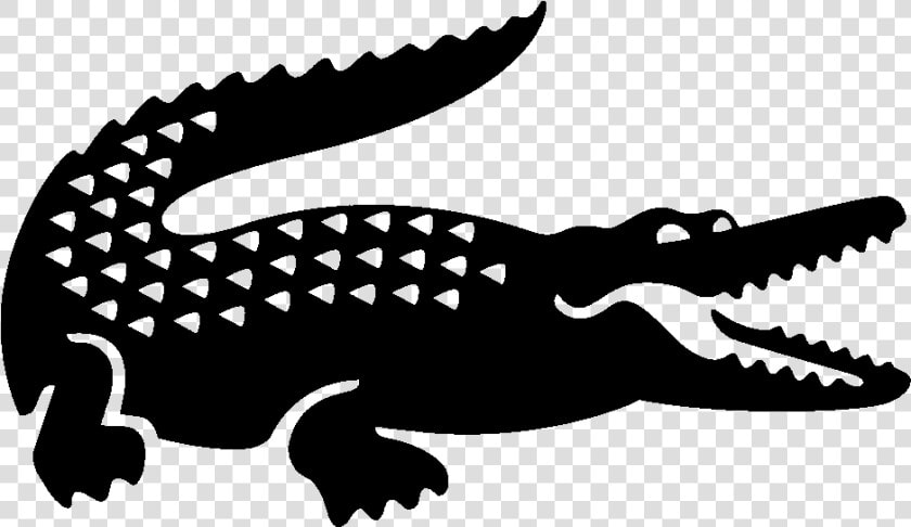 Lacoste Vector  HD Png DownloadTransparent PNG