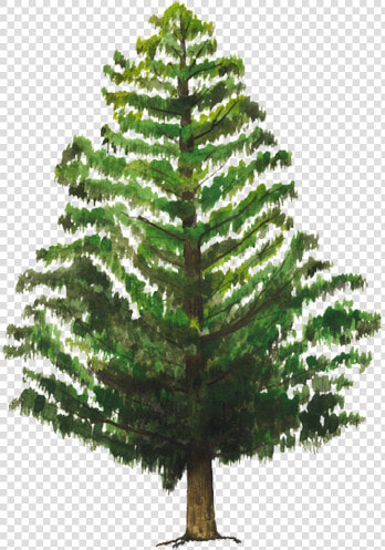 Thumb Image   Energia Abraza Un Arbol  HD Png DownloadTransparent PNG