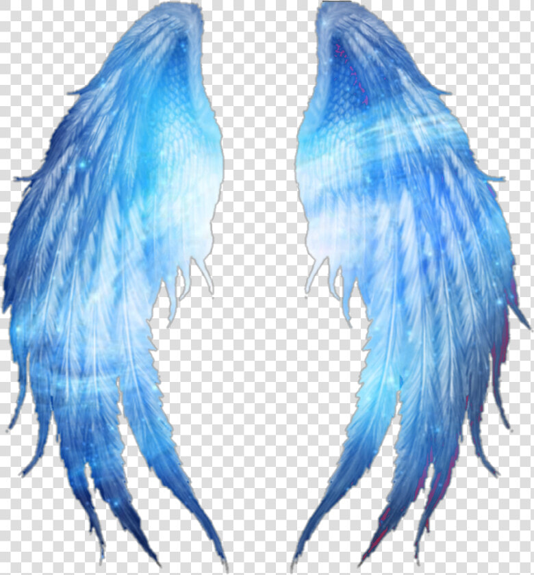  universe  wings  wing  blue  instagram  swirl  swirls   Universe Wings  HD Png DownloadTransparent PNG